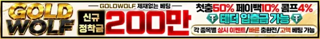 골드울프_800x100.webp
